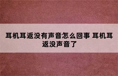 耳机耳返没有声音怎么回事 耳机耳返没声音了